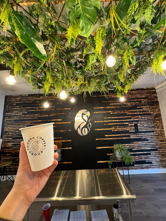 The Prologue to our Coffee Odyssey