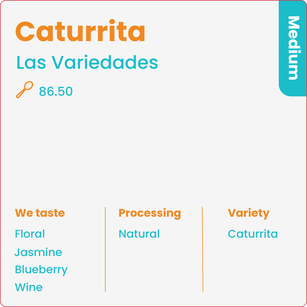 Caturrita