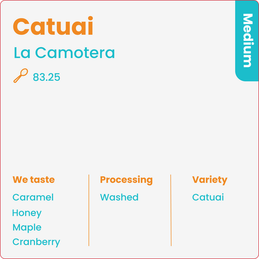 Catuai