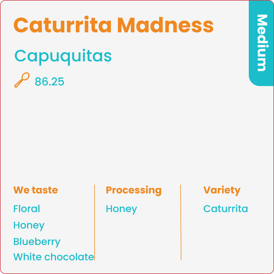 Caturrita Madness
